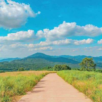 极速飞艇计划app下载