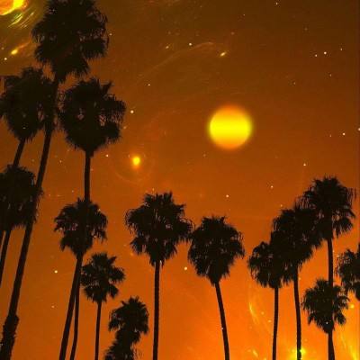 极速飞艇计划app下载