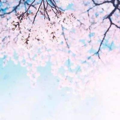 丰禾棋牌手机app下载