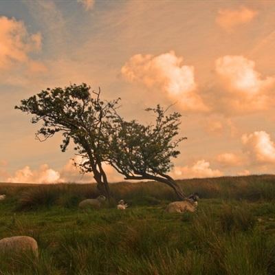 爱体育官方app手机app下载