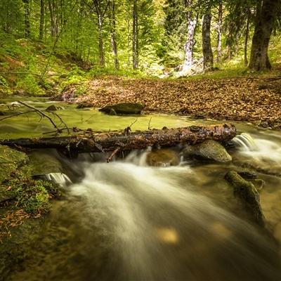 狗万官网app下载